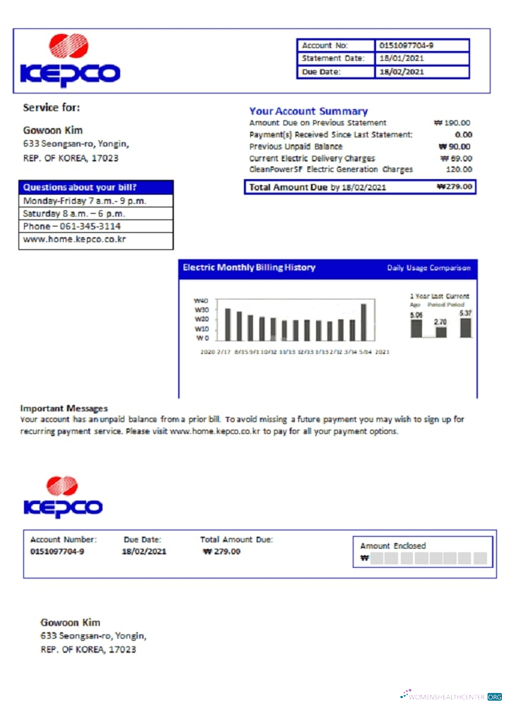 South Korea Electric Power Corporation electricity utility bill template in Word and PDF format